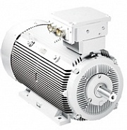 Электродвигатель асинхронный Vem motors серии W41R