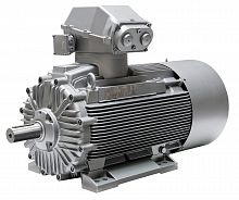 Электродвигатель Siemens серии CHEMSTAR