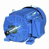Электродвигатель Cantoni Motor серии SIE284TS2