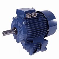 Электродвигатель Cantoni Motor серии Sh80-4/2BW