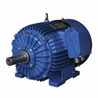 Электродвигатель Cantoni Motor серии ExSg112M-6-2G T4/2D