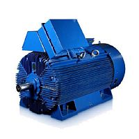 Электродвигатель Cantoni Motor серии Sh355H4B