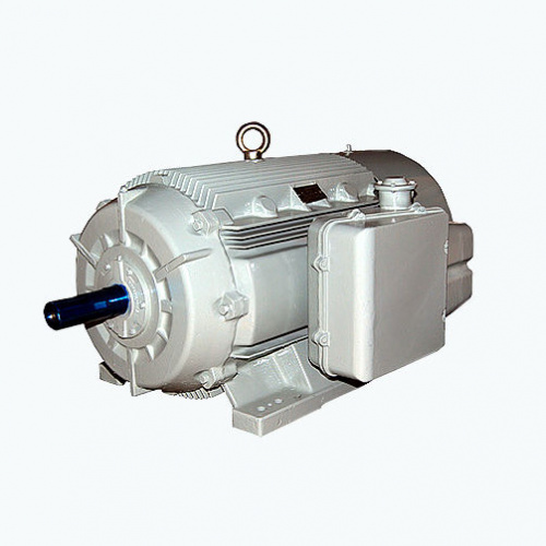 Двигатель CG Power Systems