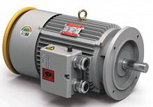 Трехфазовый двигатель / индукционный / 500 V / низкое напряжение
