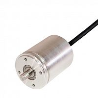 Абсолютный датчик угла поворота / CANopen / со сплошным валом / IP67
