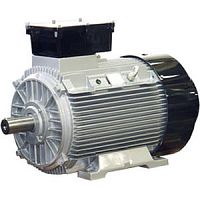 Электродвигатель синхронный ATB с короткозамкнутым якорем