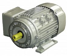 Электродвигатель асинхронный AC-Motoren серии FCPA (IE3)