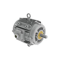Двигатель AC / асинхронный / 400В / для системы тепло- и дымоудаления
