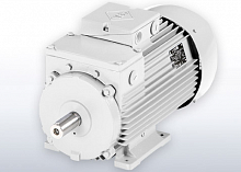 Электродвигатель трёхфазный Vem motors серии SPR