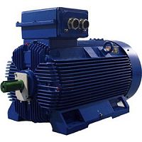 Электродвигатель Cantoni Motor серии 3SIE355ML6A