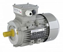 Электродвигатель асинхронный AC-Motoren серии FCA (IE2)