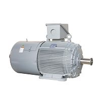 Электродвигатель асинхронный с фазным ротором Hyosung Power & Industrial Systems PG - Industrial