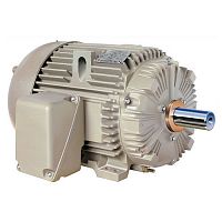 Электродвигатель GE Motors серии IEEE 841 X$D Ultra®