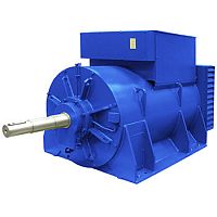 Трехфазовый генератор переменного тока / мультиполярный / низкое напряжение / для гидроэлектростанции