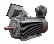 Электродвигатель асинхронный Hyosung Power & Industrial Systems PG - Industrial